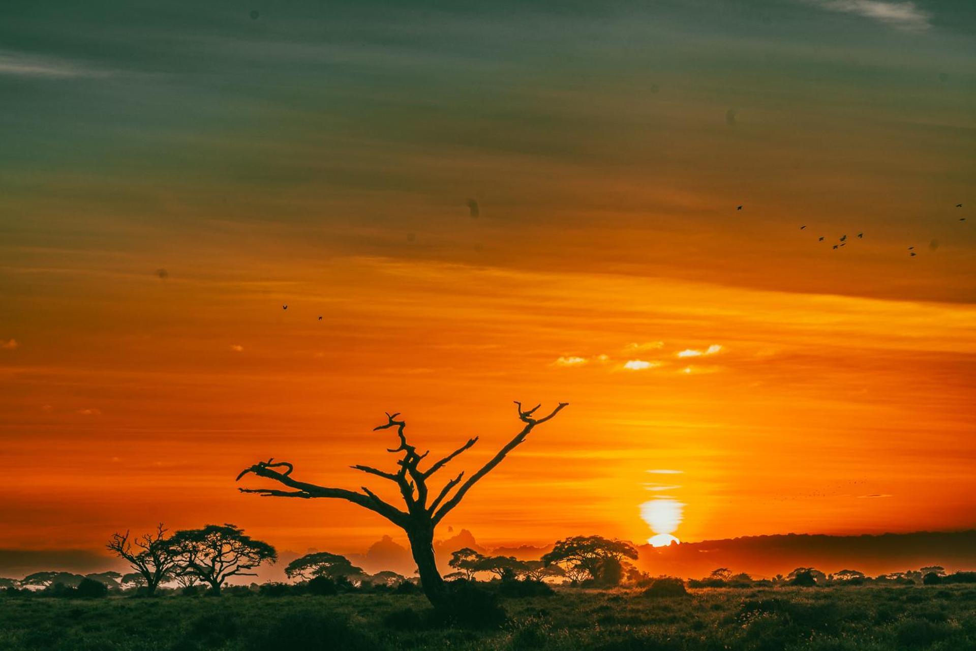 Kilimanjaro View Cabin-Amboseli Oloitokitok Rom bilde