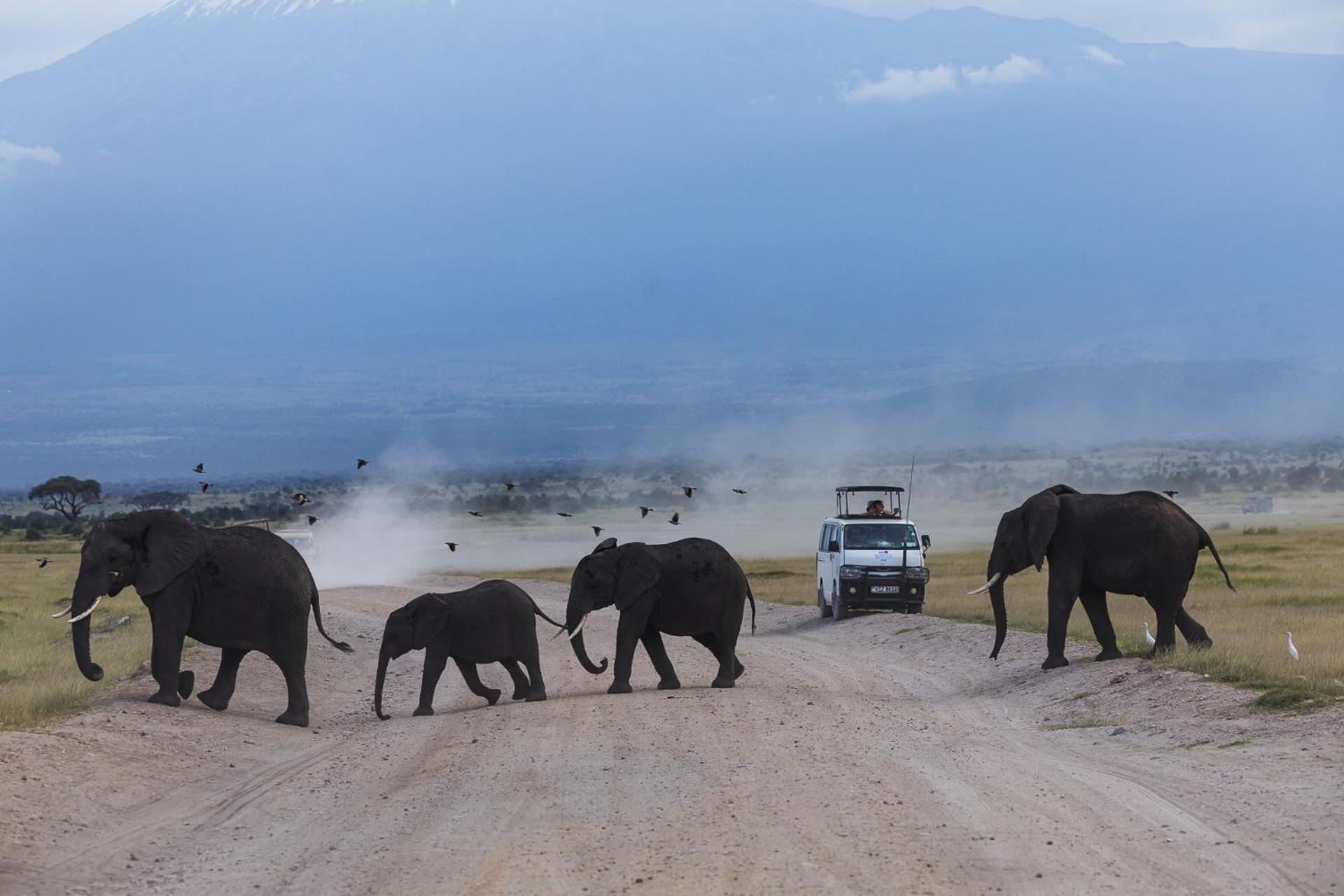 Kilimanjaro View Cabin-Amboseli Oloitokitok Rom bilde